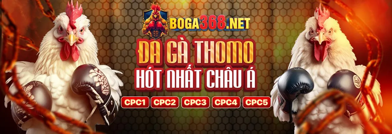 Banner khuyến mãi hấp dẫn tại Q8Bet