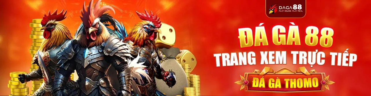 Khóa bảo mật dữ liệu Q8Bet